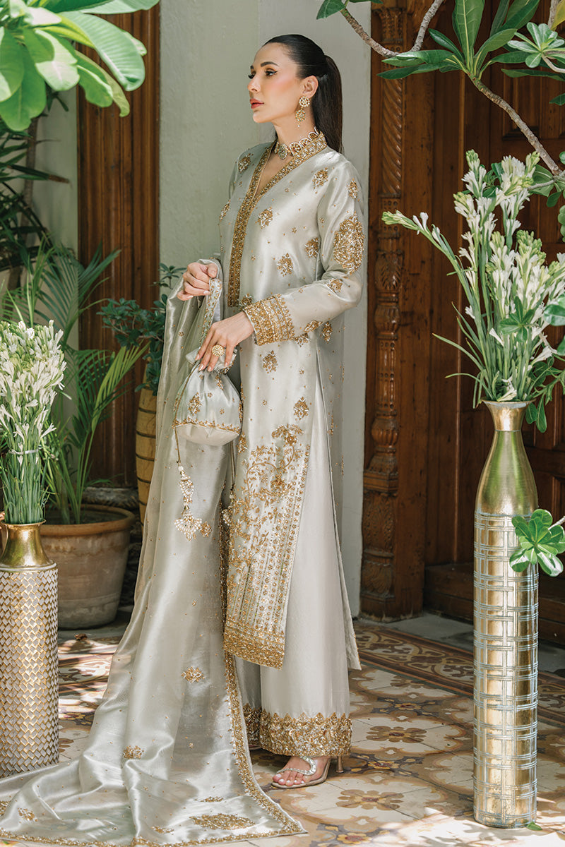 Silver-Grey Embellished Tissue & Raw Silk Salwar Kameez (3-Piece) - Image 10