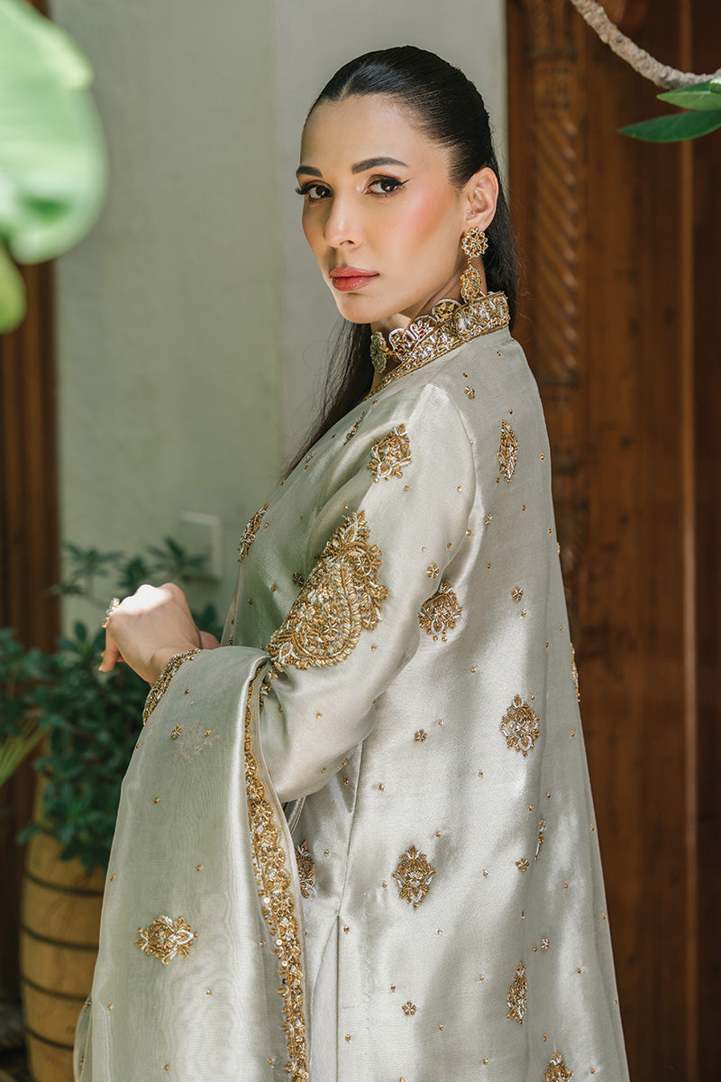 Silver-Grey Embellished Tissue & Raw Silk Salwar Kameez (3-Piece) - Image 2