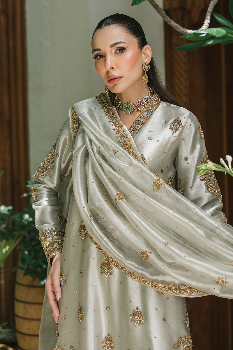 Silver-Grey Embellished Tissue & Raw Silk Salwar Kameez (3-Piece) - Image 3