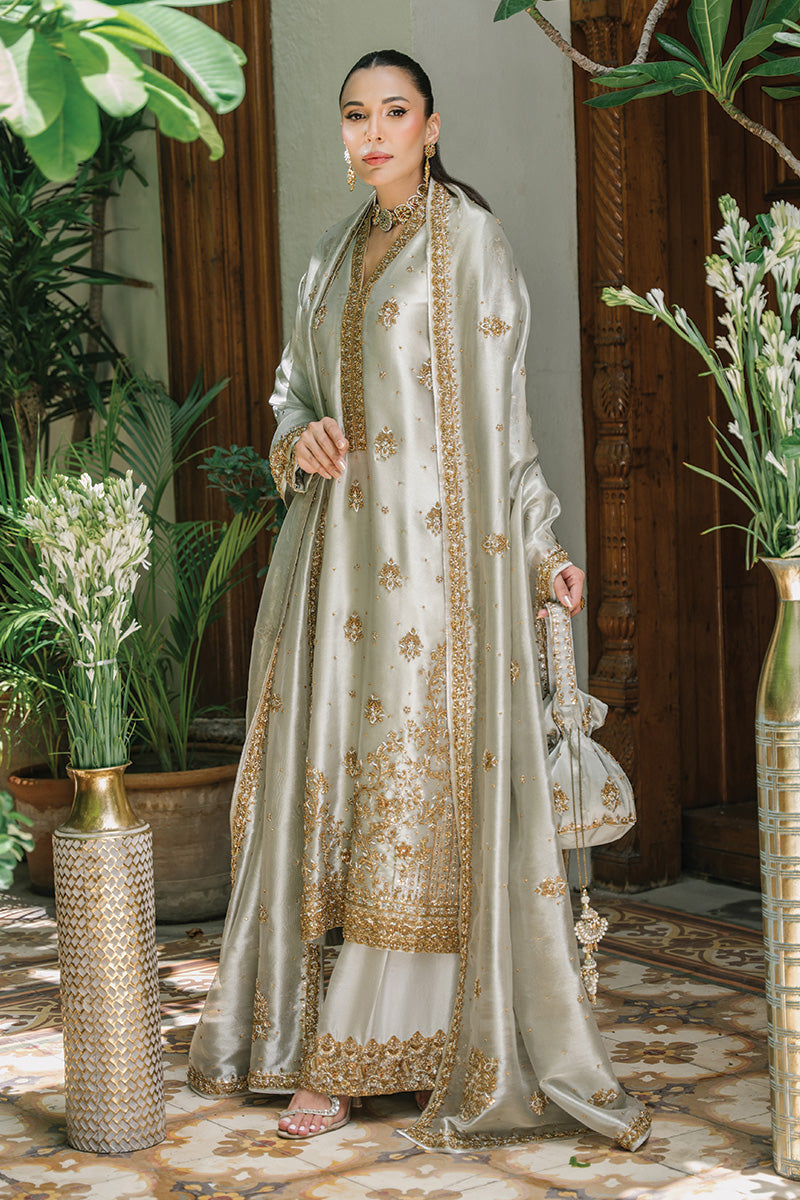 Silver-Grey Embellished Tissue & Raw Silk Salwar Kameez (3-Piece) - Image 5