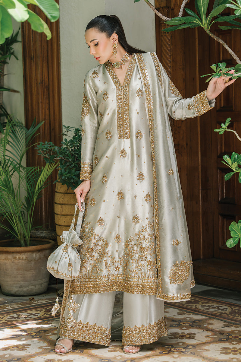 Silver-Grey Embellished Tissue & Raw Silk Salwar Kameez (3-Piece) - Image 6