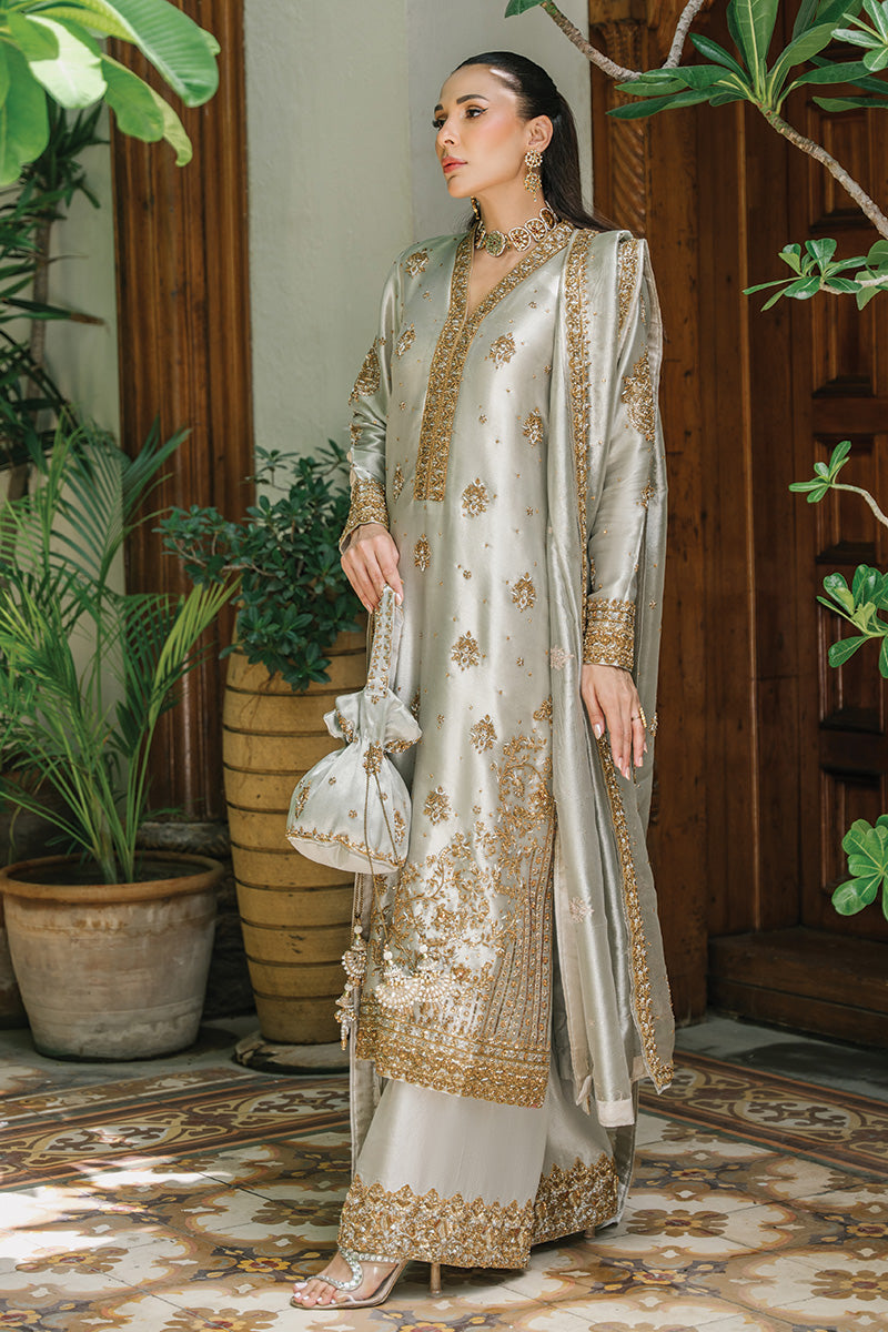Silver-Grey Embellished Tissue & Raw Silk Salwar Kameez (3-Piece) - Image 7