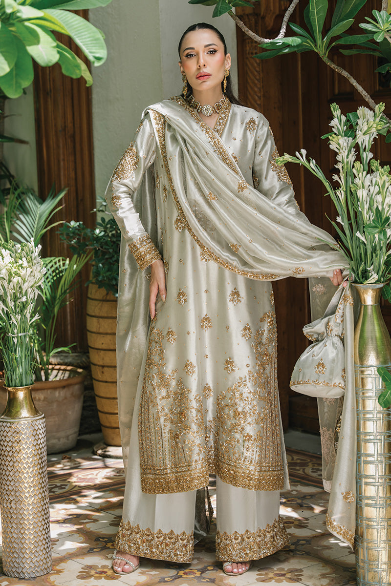Silver-Grey Embellished Tissue & Raw Silk Salwar Kameez (3-Piece) - Image 8