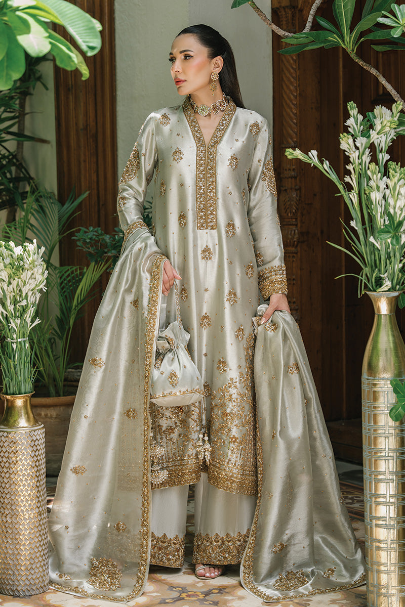 Silver-Grey Embellished Tissue & Raw Silk Salwar Kameez (3-Piece) - Image 9