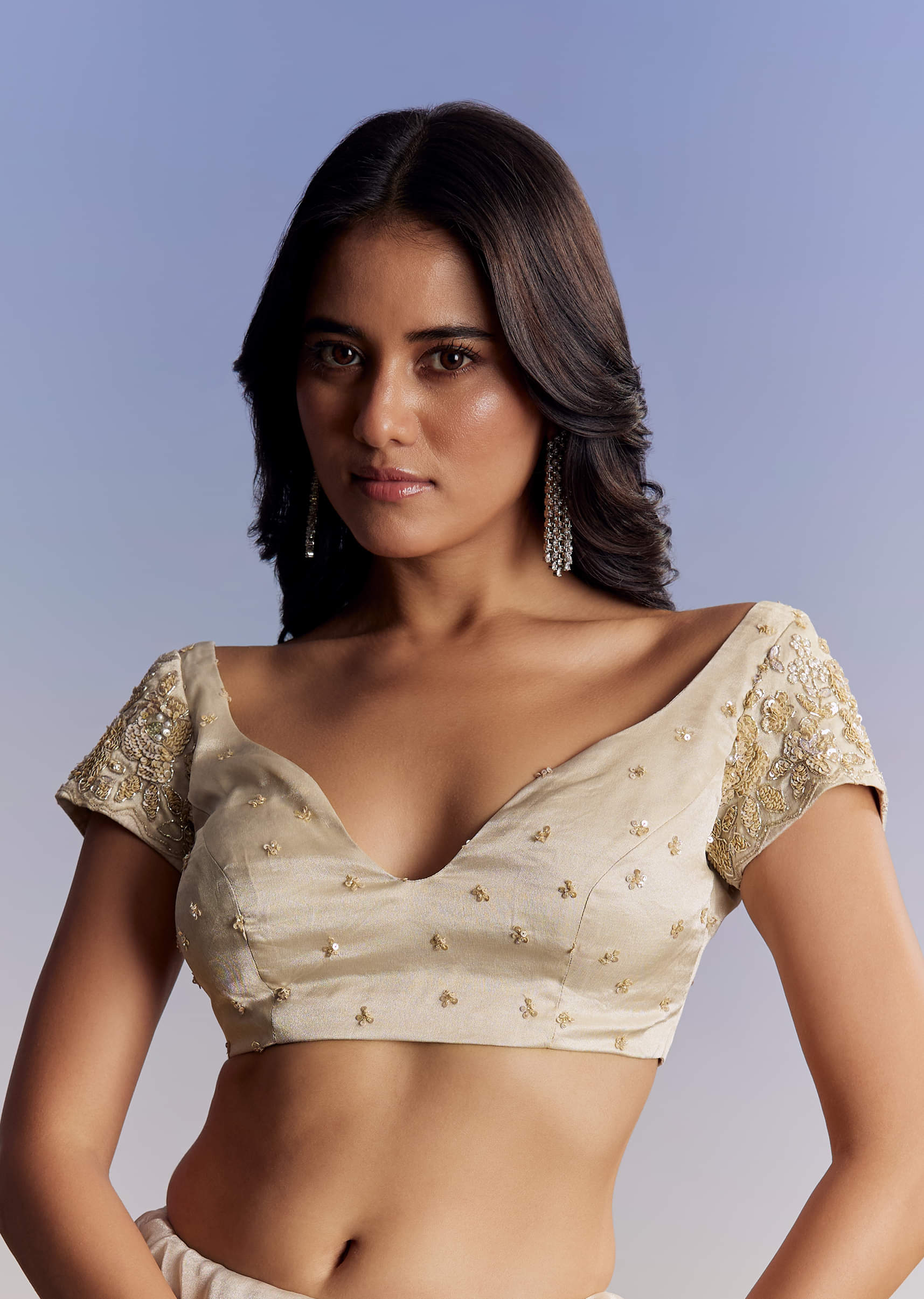 Indian Silver Floral Cut Dana Tissue Saree (2-Piece) - Image 6