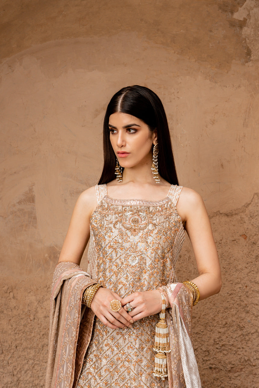 Silver Embroidered Tissue Kameez with Blush Pink Sharara (3-Piece) - Image 6