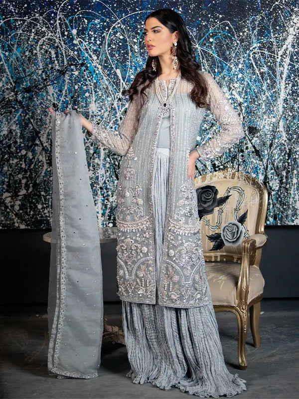 Pakistani Silver Grey Embroidered Net Organza Sharara (3-Piece) - Image 1