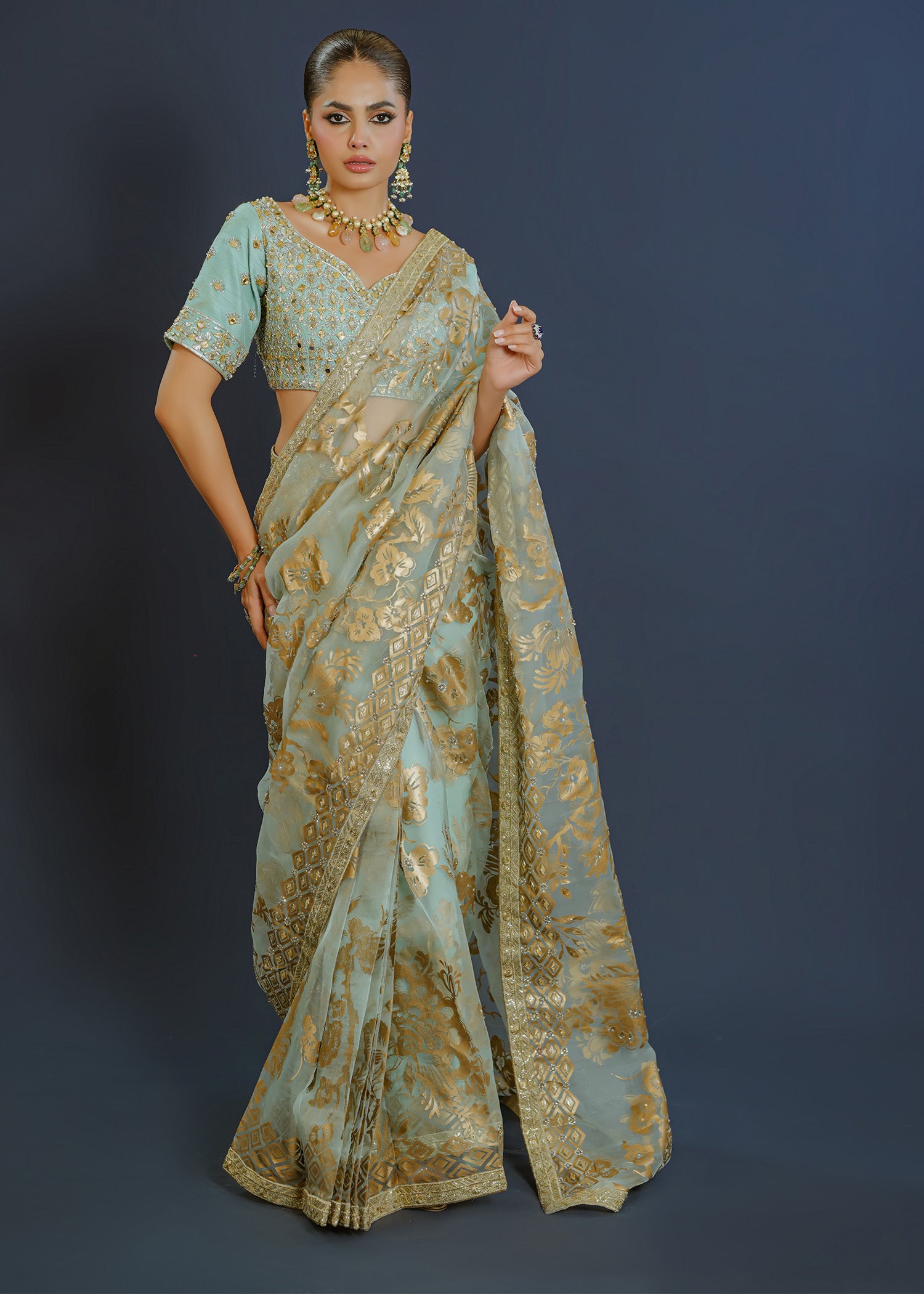 Ferozi Handworked Organza Saree with Raw Silk Blouse (2-Piece) - Image 1