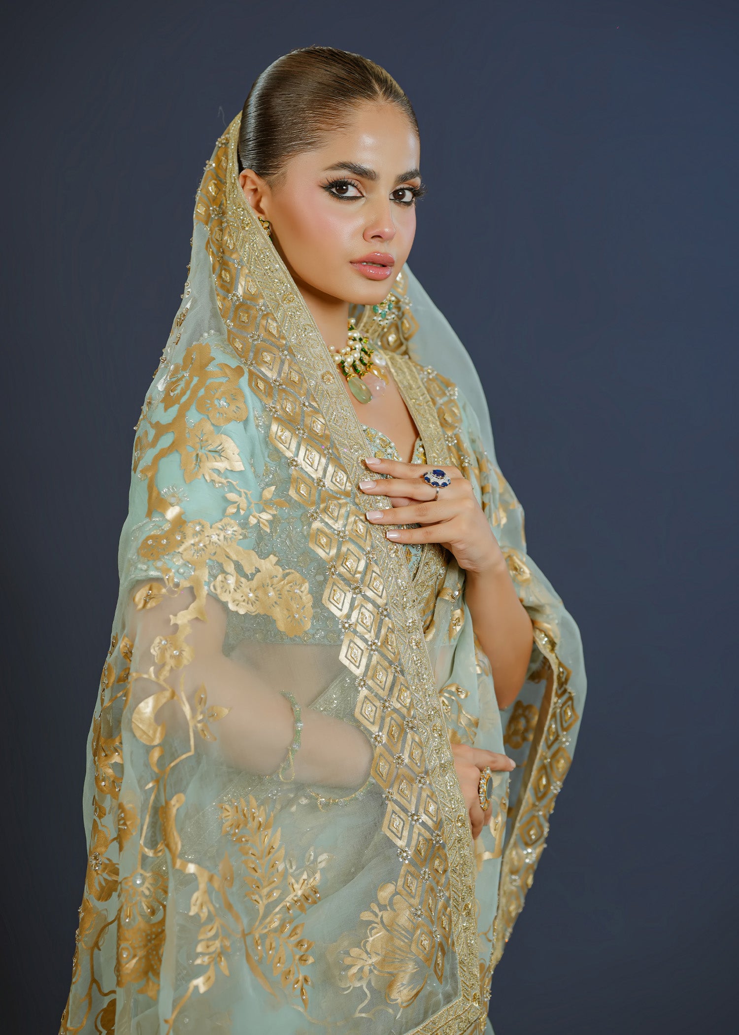 Ferozi Handworked Organza Saree with Raw Silk Blouse (2-Piece) - Image 6