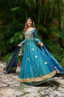 Pakistani Teal Embroidered Jamavar Pishwas Dress (2-Piece) - Image 4