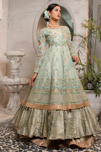 Pakistani Ferozi Hand-Embellished Organza Pishwas (2-Piece) - Image 4