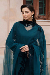 Teal Green Velvet Appliqué Silk Salwar Kameez (3-Piece) - Image 4