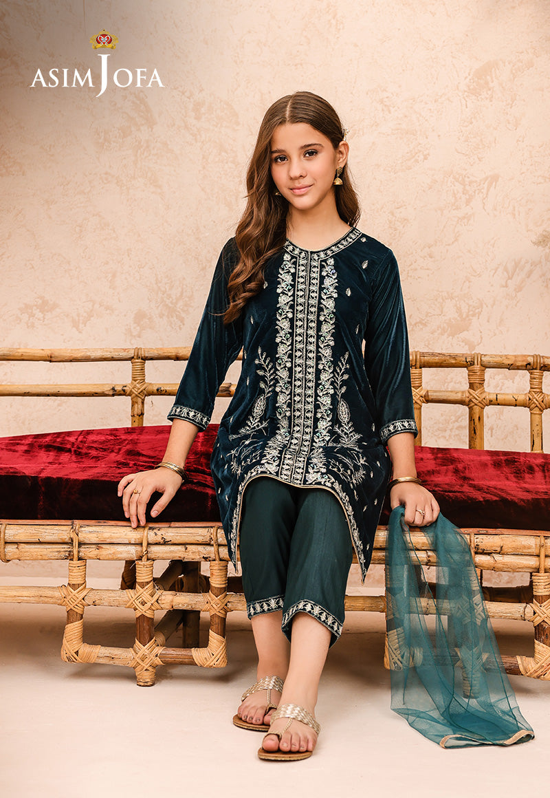 Pakistani Teal Embroidered Velvet 3-Piece Salwar Kameez - Image 5