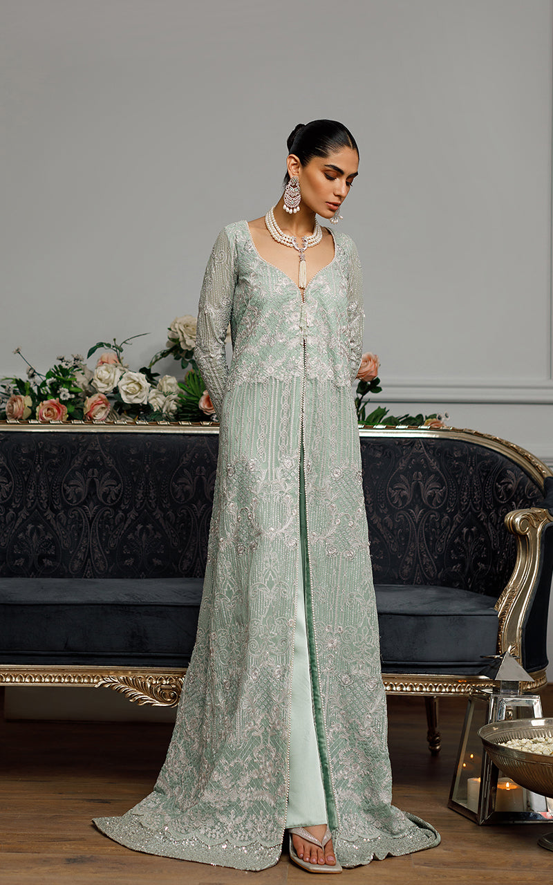 Turquoise Embroidered Chiffon Gown (1-Pc) - Image 1