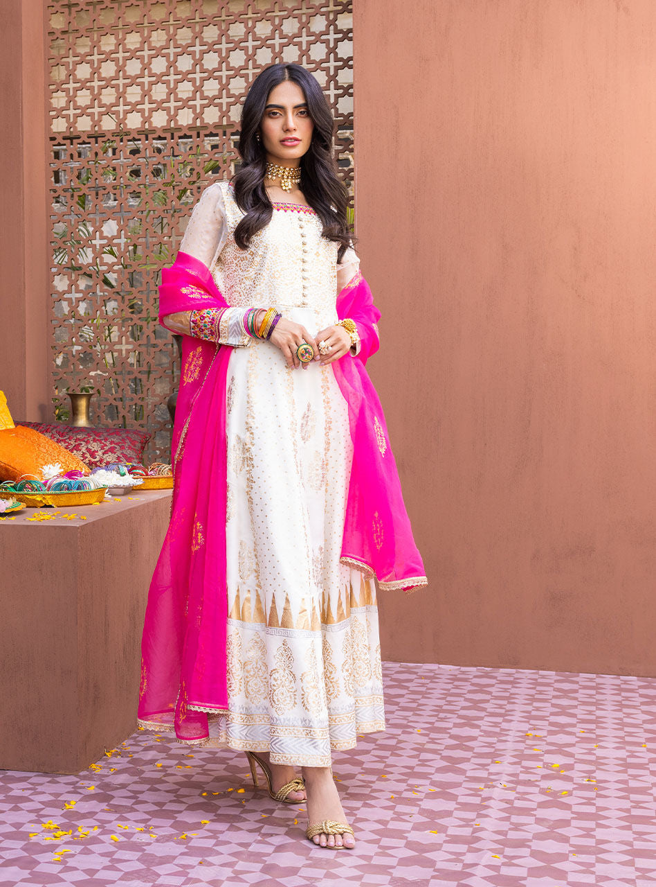 Pearly White Embroidered Chiffon Organza Anarkali (3-Piece) - Image 1