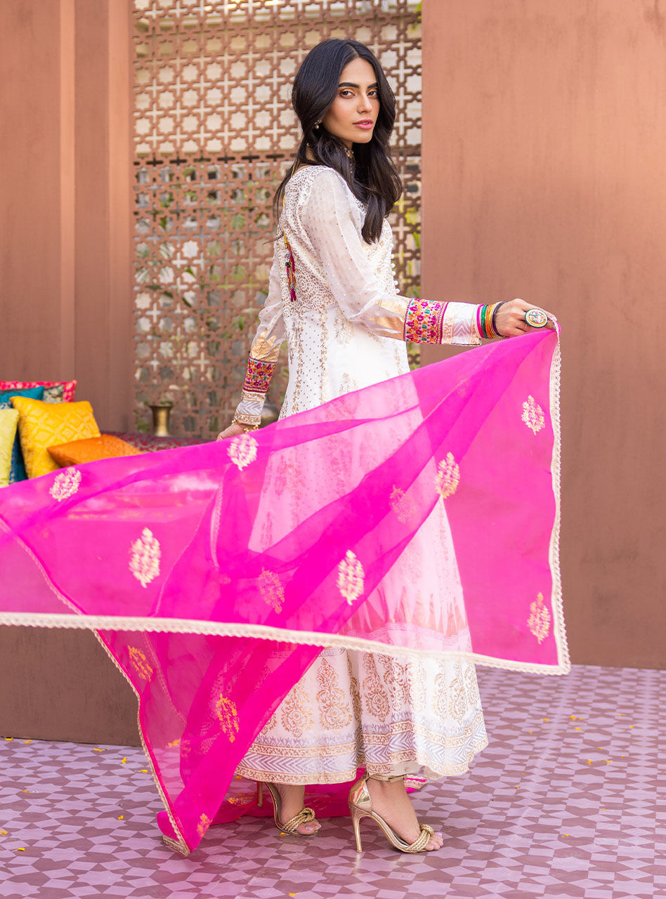 Pearly White Embroidered Chiffon Organza Anarkali (3-Piece) - Image 5