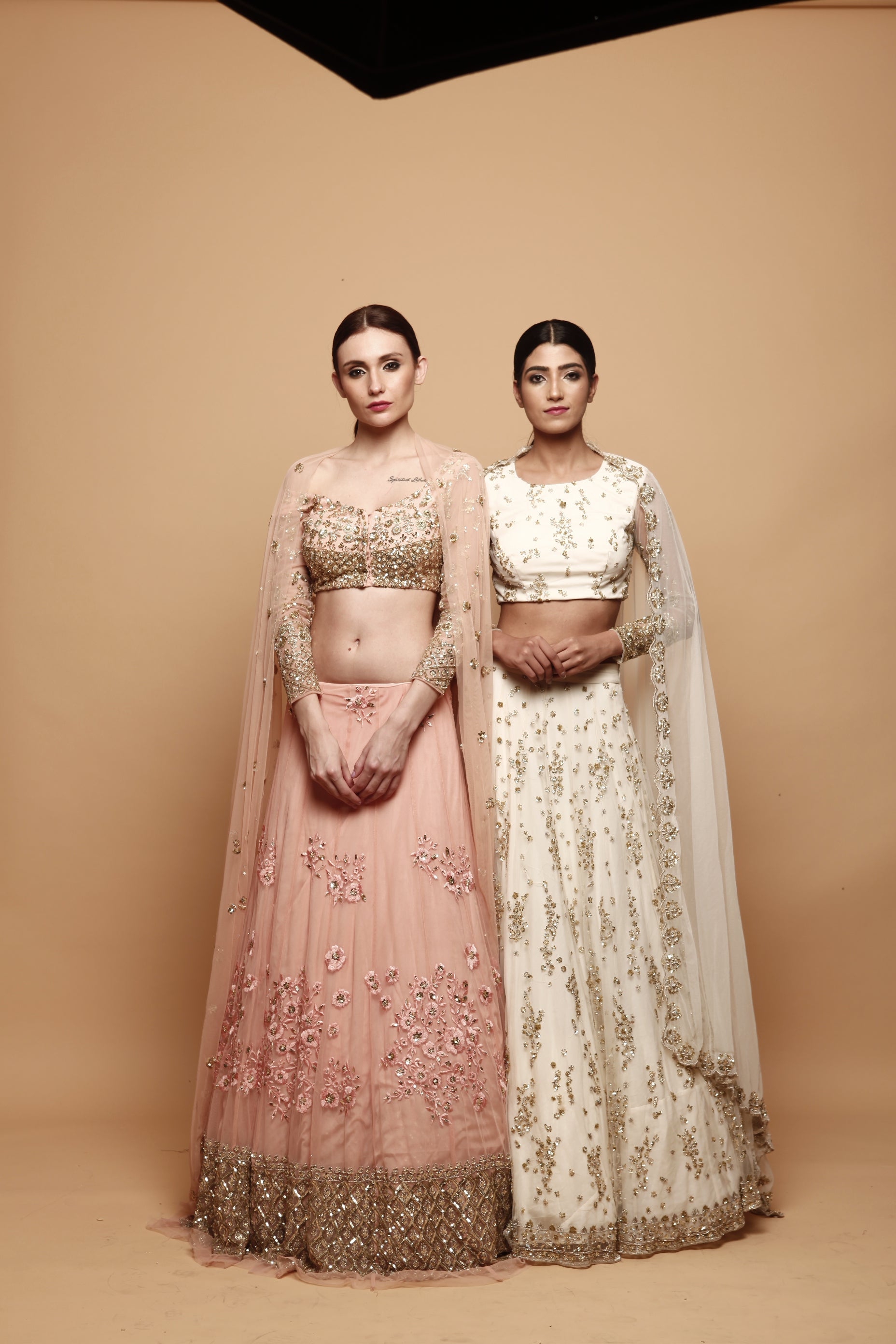 Indian White Embroidered Net Lehenga Set (3-Piece) - Image 3