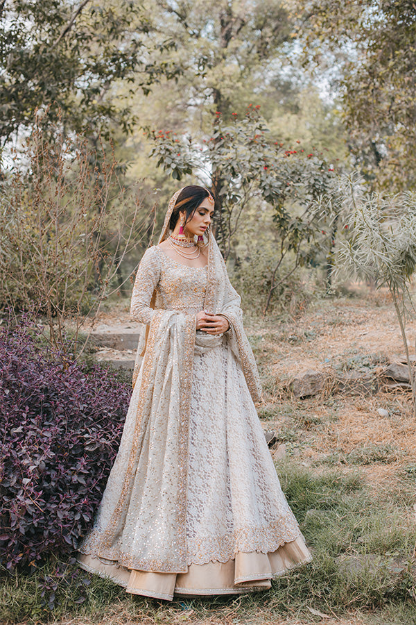 White Embroidered Lace Pishwas Dress (3-Piece) - Image 1