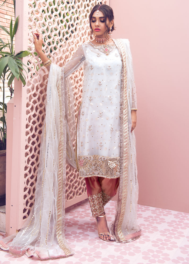 Pakistani White Handworked Net & Tissue Salwar Kameez (3-Piece) - Image 1
