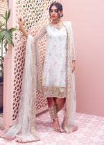 Pakistani White Handworked Net & Tissue Salwar Kameez (3-Piece) - Image 2