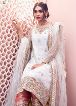 Pakistani White Handworked Net & Tissue Salwar Kameez (3-Piece) - Image 4