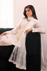 Pakistani White Embroidered Net Salwar Kameez (3-Piece) - Image 9