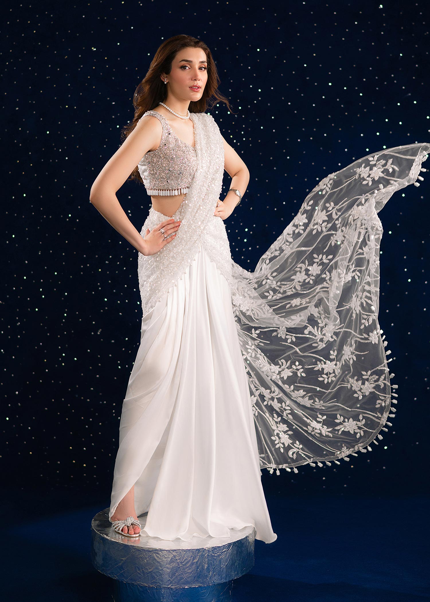 Frosted White Embellished Shamoz & Net Saree (2-Piece) - Image 2