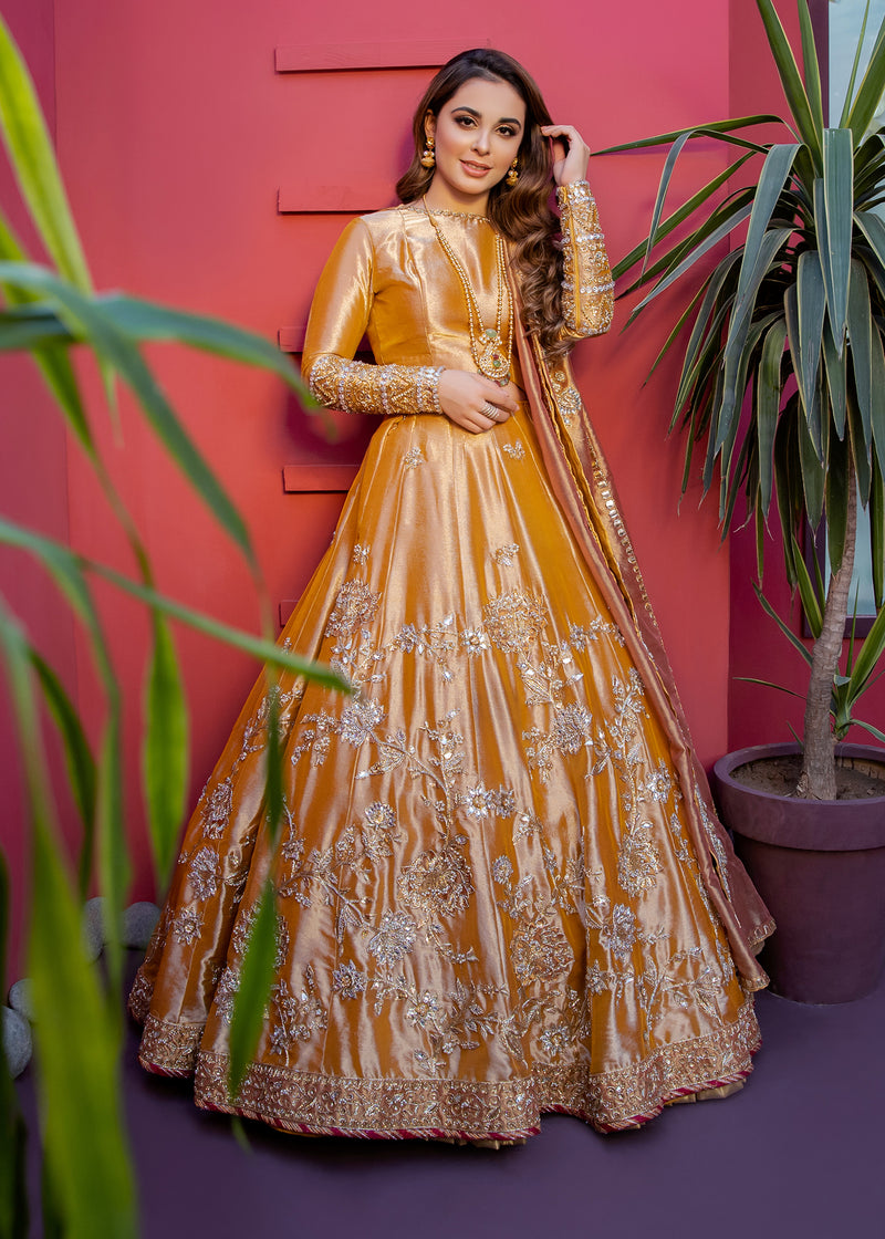 Pakistani Yellow Embroidered Tissue Anarkali Dress (2-Piece) - Image 1