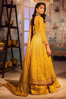 Pakistani Mustard Zardozi Organza Net Kalidaar (3-Piece) - Image 4