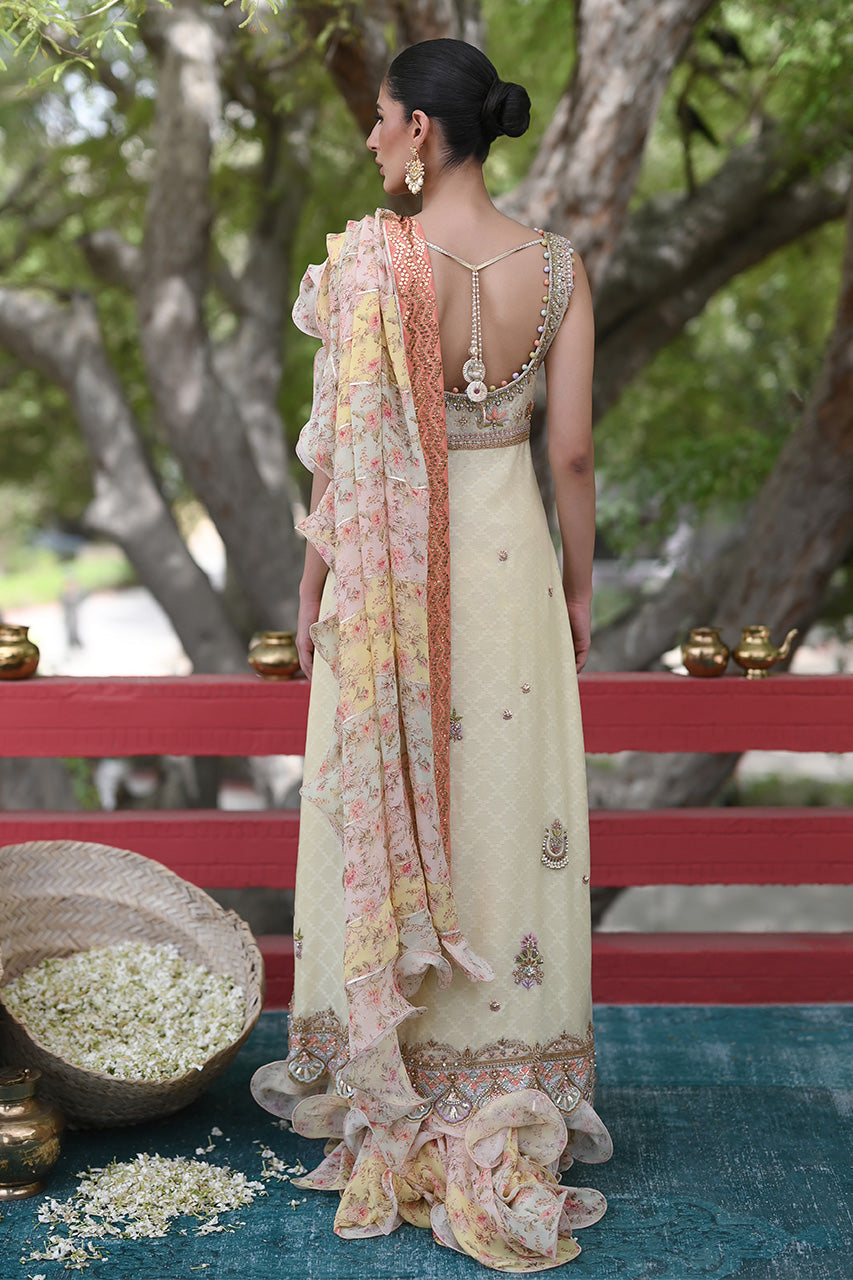 Pakistani Lemon Embroidered Cotton Net Pishwas Dress (2-Piece) - Image 2