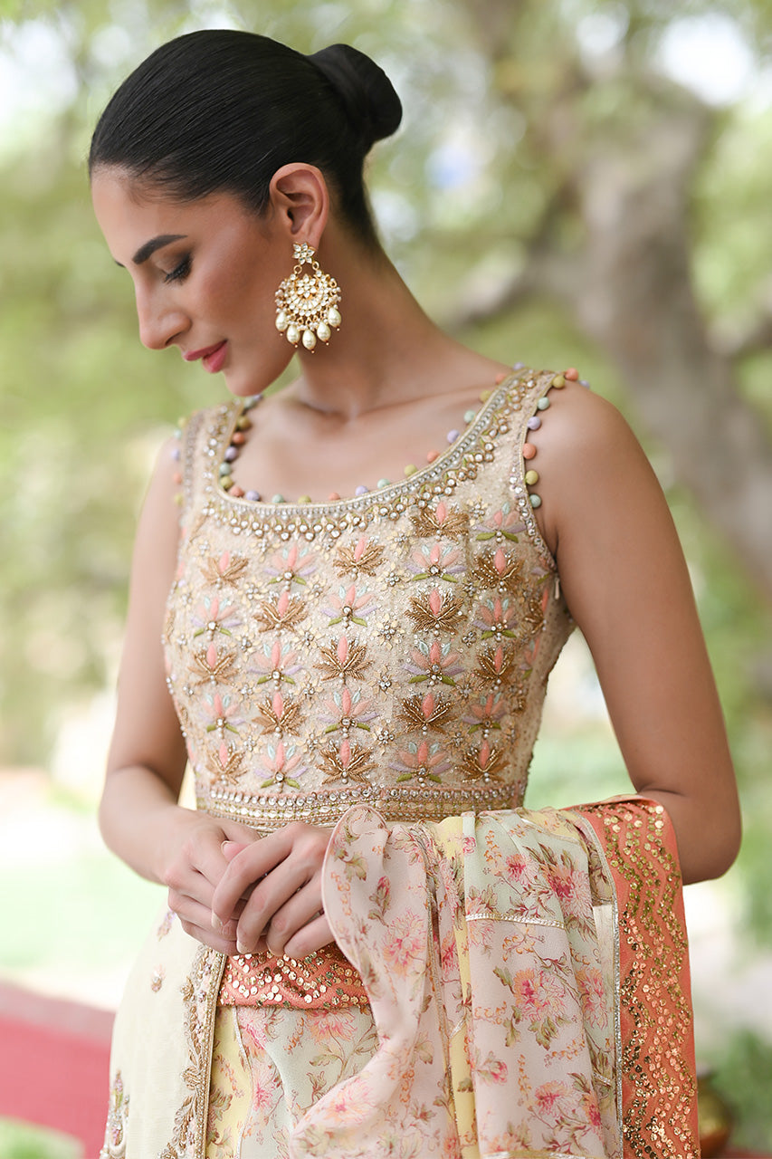 Pakistani Lemon Embroidered Cotton Net Pishwas Dress (2-Piece) - Image 3