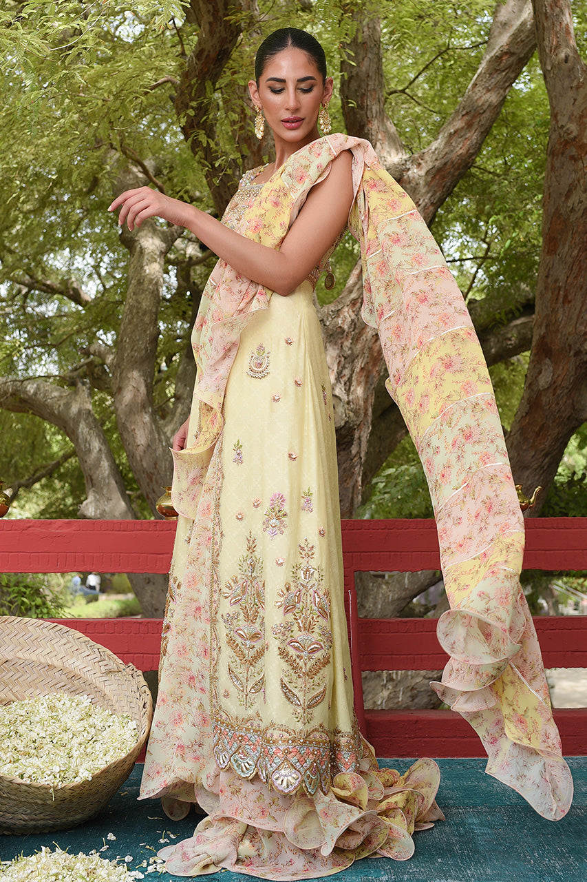 Pakistani Lemon Embroidered Cotton Net Pishwas Dress (2-Piece) - Image 4