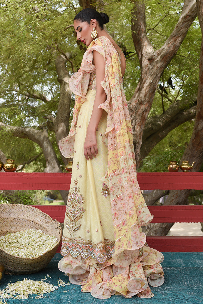 Pakistani Lemon Embroidered Cotton Net Pishwas Dress (2-Piece) - Image 5