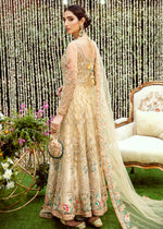 Pakistani Pale Yellow Embroidered Net Pishwas Dress (3-Piece) - Image 3