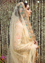 Pakistani Pale Yellow Embroidered Net Pishwas Dress (3-Piece) - Image 4