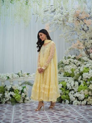 Pastel Yellow Embroidered Organza Kalidaar Pishwas (3-Piece) - Image 3