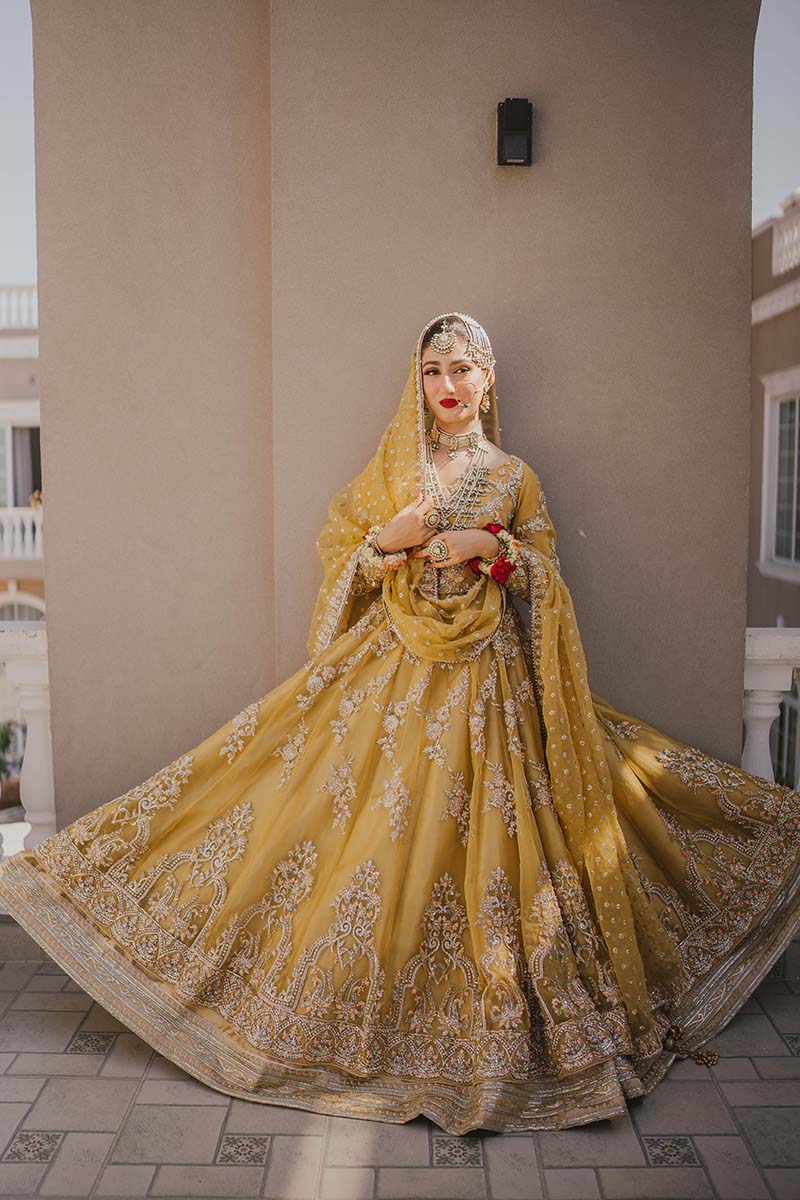 Yellow Embroidered Organza Pishwas Dress (3-Piece) - Image 7