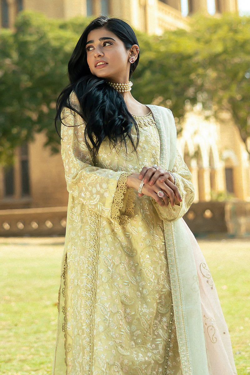Pakistani Lime Yellow Embroidered Cotton Net Salwar Kameez (3-Piece) - Image 10