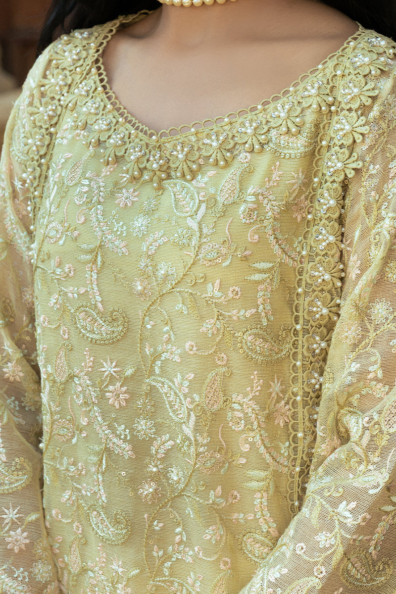 Pakistani Lime Yellow Embroidered Cotton Net Salwar Kameez (3-Piece) - Image 6