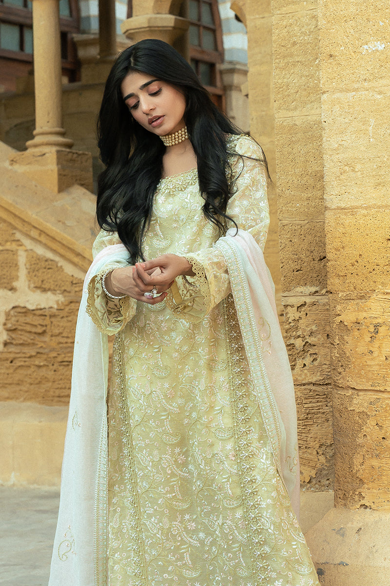 Pakistani Lime Yellow Embroidered Cotton Net Salwar Kameez (3-Piece) - Image 8