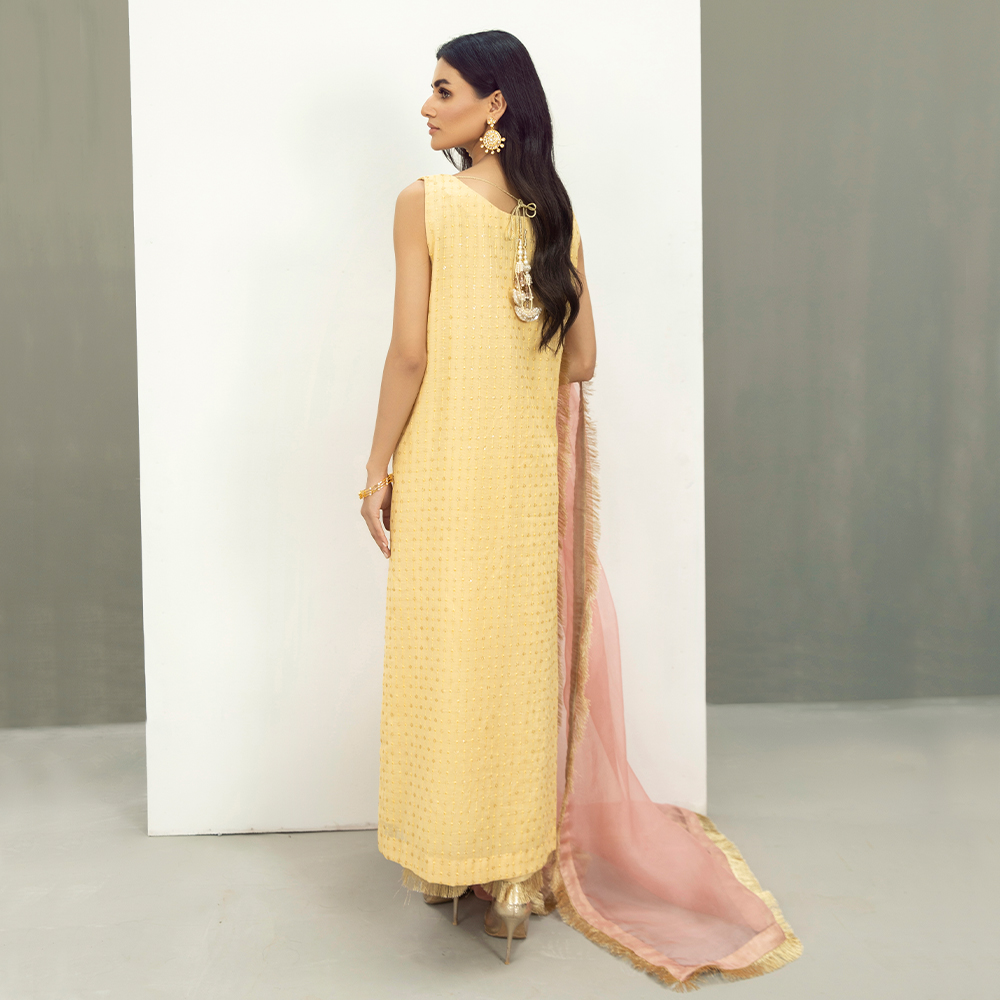 Pakistani Pastel Yellow Gangajamni Khaddi Net Salwar Kameez (3-Piece) - Image 6