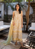 Pakistani Lime Yellow Embroidered Net Salwar Kameez (3-Piece) - Image 2