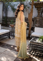 Pakistani Lime Yellow Embroidered Net Salwar Kameez (3-Piece) - Image 3