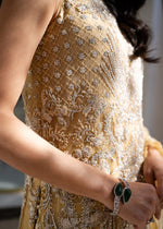 Pakistani Lime Yellow Embroidered Net Salwar Kameez (3-Piece) - Image 5