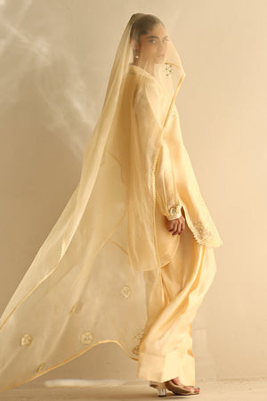 Pakistani Butter Yellow Hand Embroidered Silk Salwar Kameez (3-Piece) - Image 3