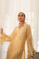 Pastel Lemon Sheesha & Crochet Silk Net Salwar Kameez (3-Piece) - Image 5