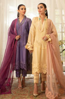 Pastel Lemon Sheesha & Crochet Silk Net Salwar Kameez (3-Piece) - Image 7
