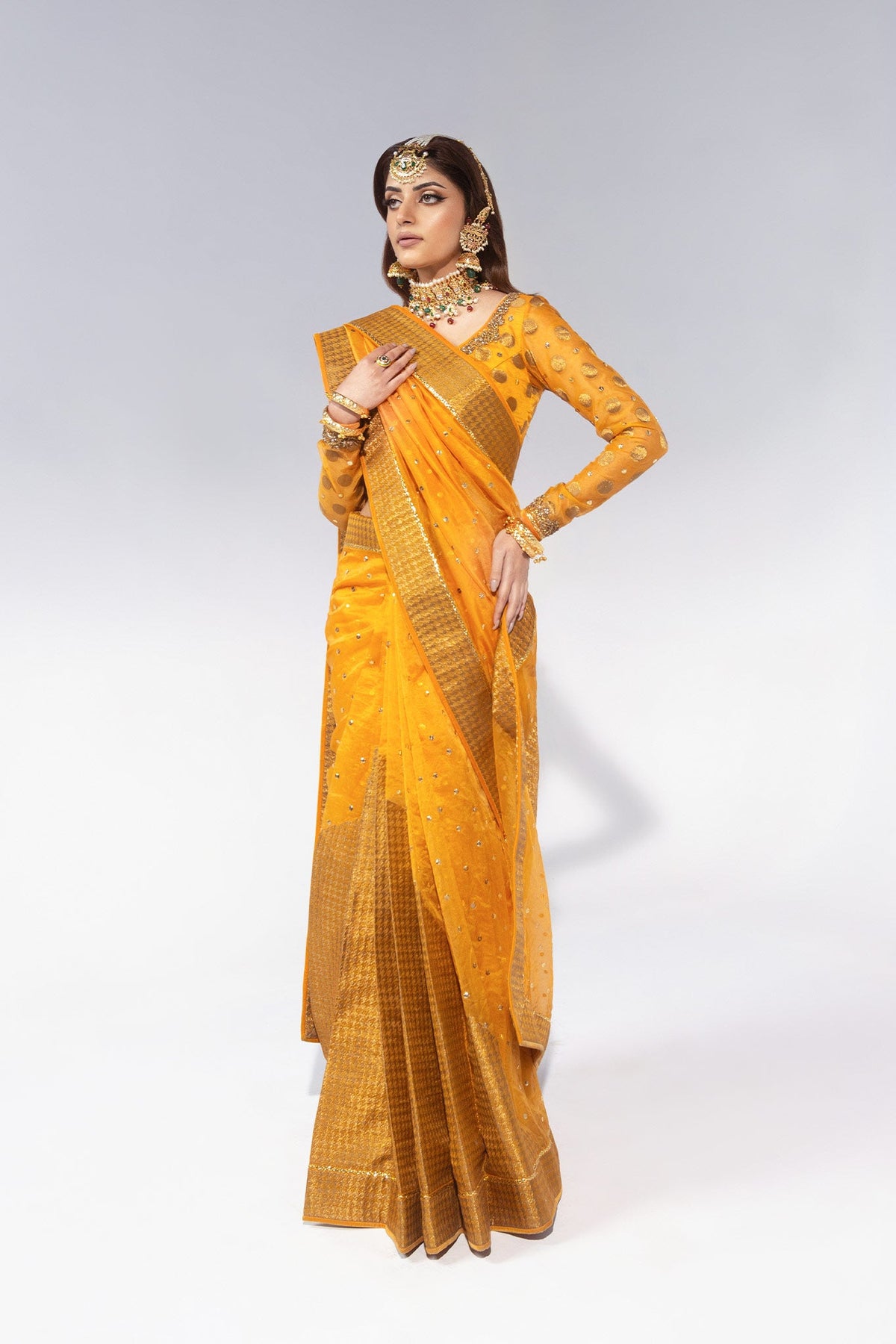 Mango Zardozi Jacquard Organza Saree (2-Piece) - Image 1