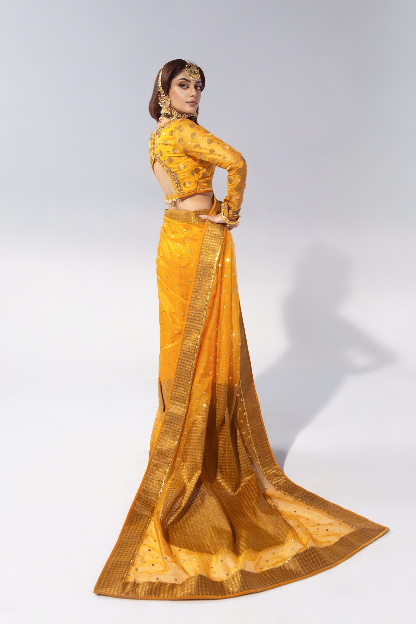 Mango Zardozi Jacquard Organza Saree (2-Piece) - Image 7