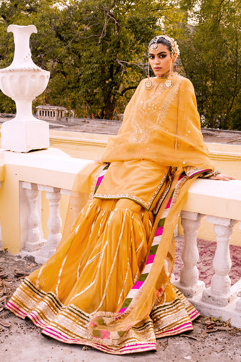 Pakistani Mustard Hand-Embellished Organza & Silk Gharara (3-Piece) - Image 2